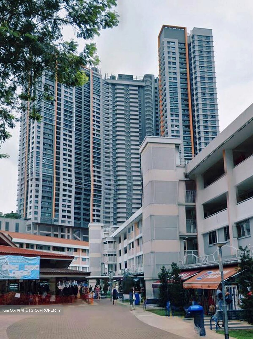 Blk 449 Clementi Avenue 3 (Clementi), HDB 4 Rooms #565826931